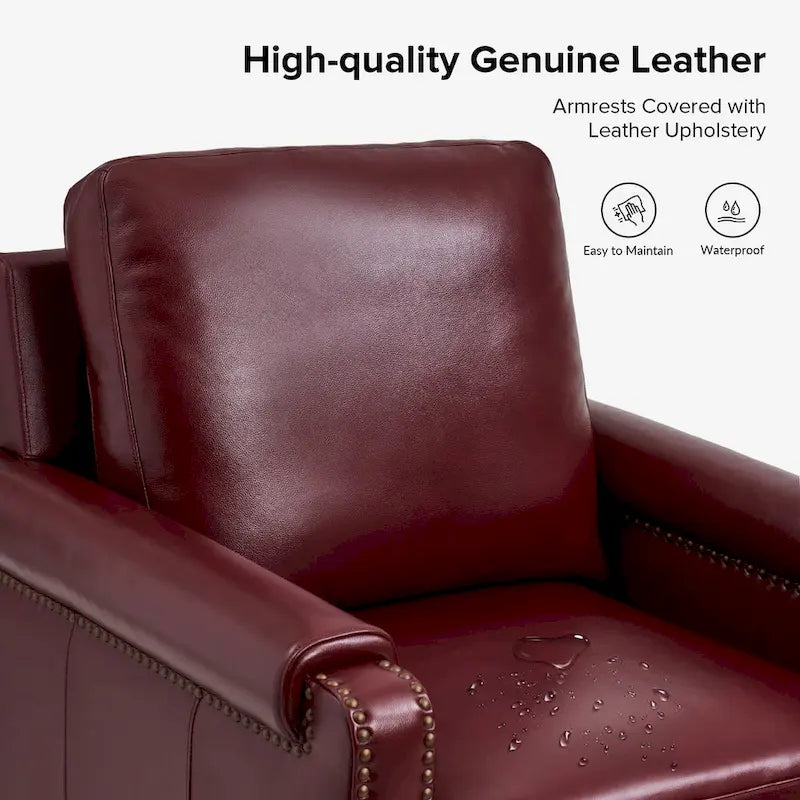 Kunz Transitional Genuine Leather Armchair with Removable Cushion and Nailhead Trims Set of 2