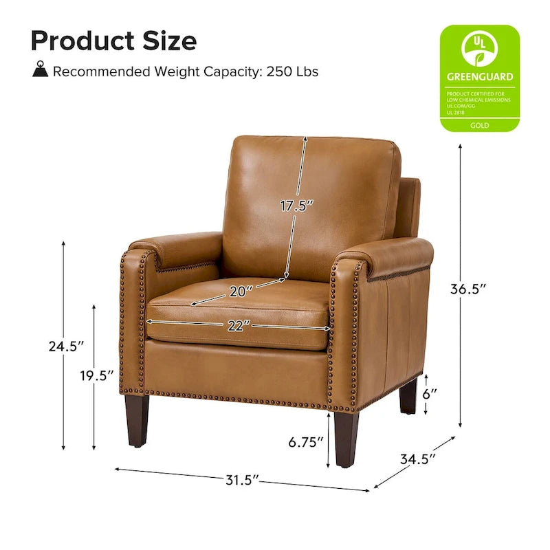 Kunz Transitional Genuine Leather Armchair with Removable Cushion and Nailhead Trims Set of 2