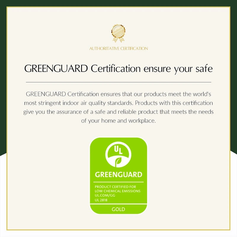 Kunz Transitional Genuine Leather Armchair with Removable Cushion and Nailhead Trims Set of 2