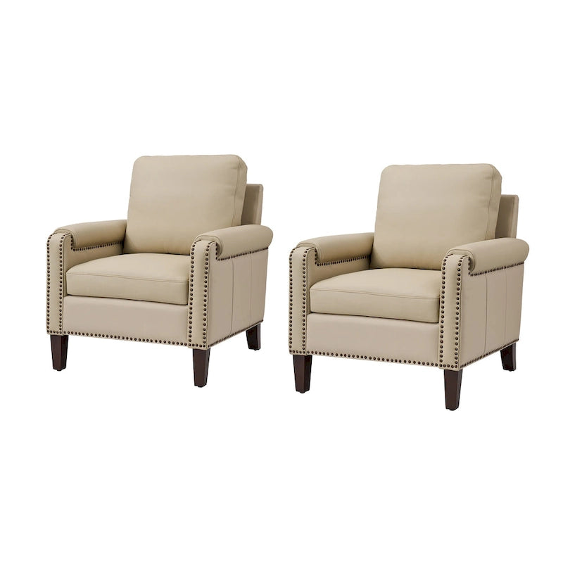 Kunz Transitional Genuine Leather Armchair with Removable Cushion and Nailhead Trims Set of 2