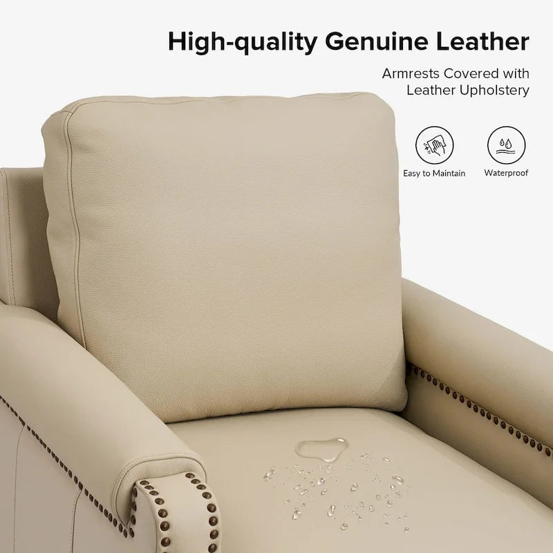 Kunz Transitional Genuine Leather Armchair with Removable Cushion and Nailhead Trims Set of 2