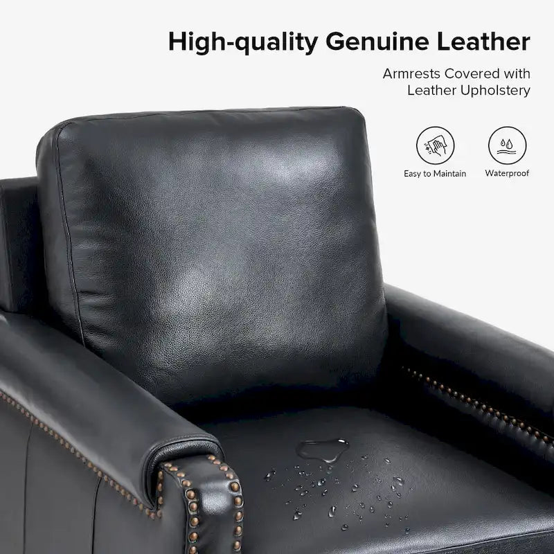 Kunz Transitional Genuine Leather Armchair with Removable Cushion and Nailhead Trims Set of 2