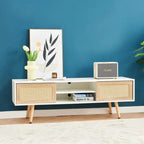 55.12 Rattan TV cabinet, double sliding doors